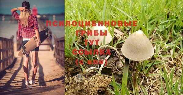 не бодяженный Абдулино