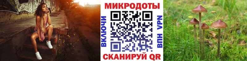 Галлюциногенные грибы мухоморы Сухиничи
